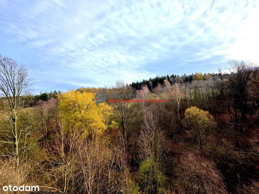Mieszkanie na sprzedaż w Wałbrzych-15