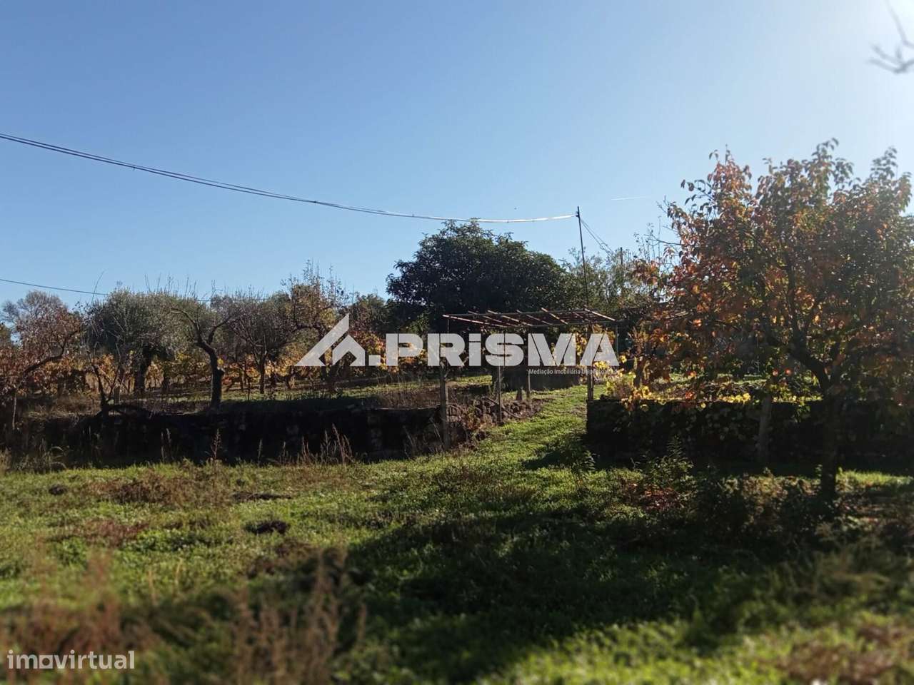 Quintinha para venda com construção rural para venda em Escalos de Bai-8