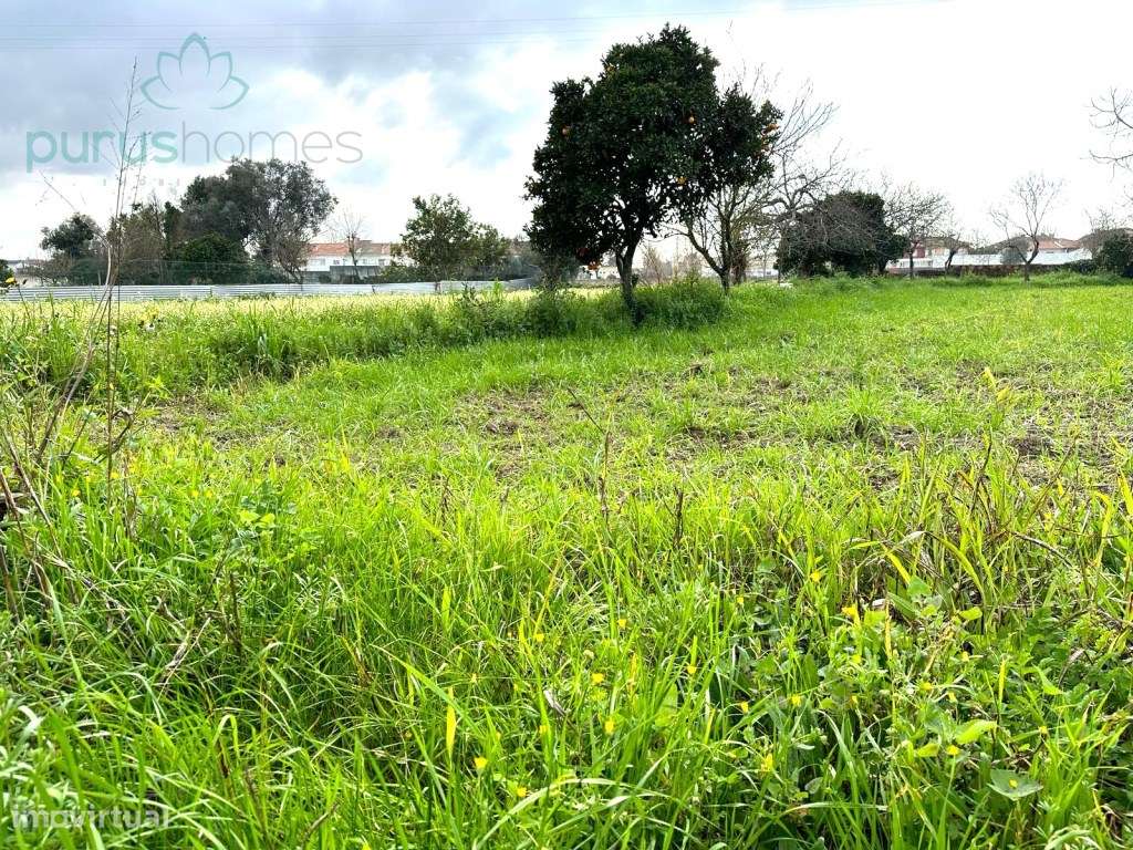 Moradia Centenária Cacia - Aveiro-11