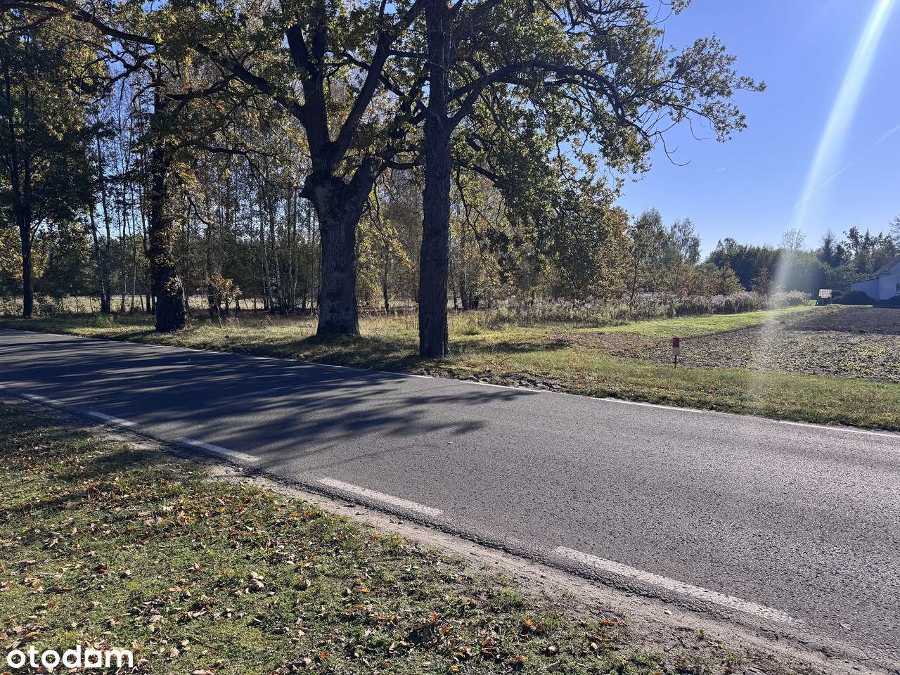 Duża działka pod miastem, WZ dom jednorodzinny - Pełny obrazek: 5/7