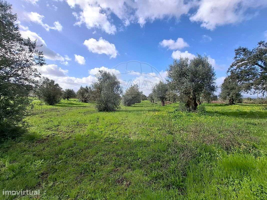 Terreno  para venda - Grande imagem: 4/7