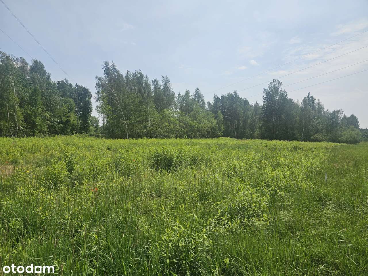 Blisko trasy S17. Uchwalony MPZP - USŁUGI / PRZEMYSŁ. Brak sąsiadów-7