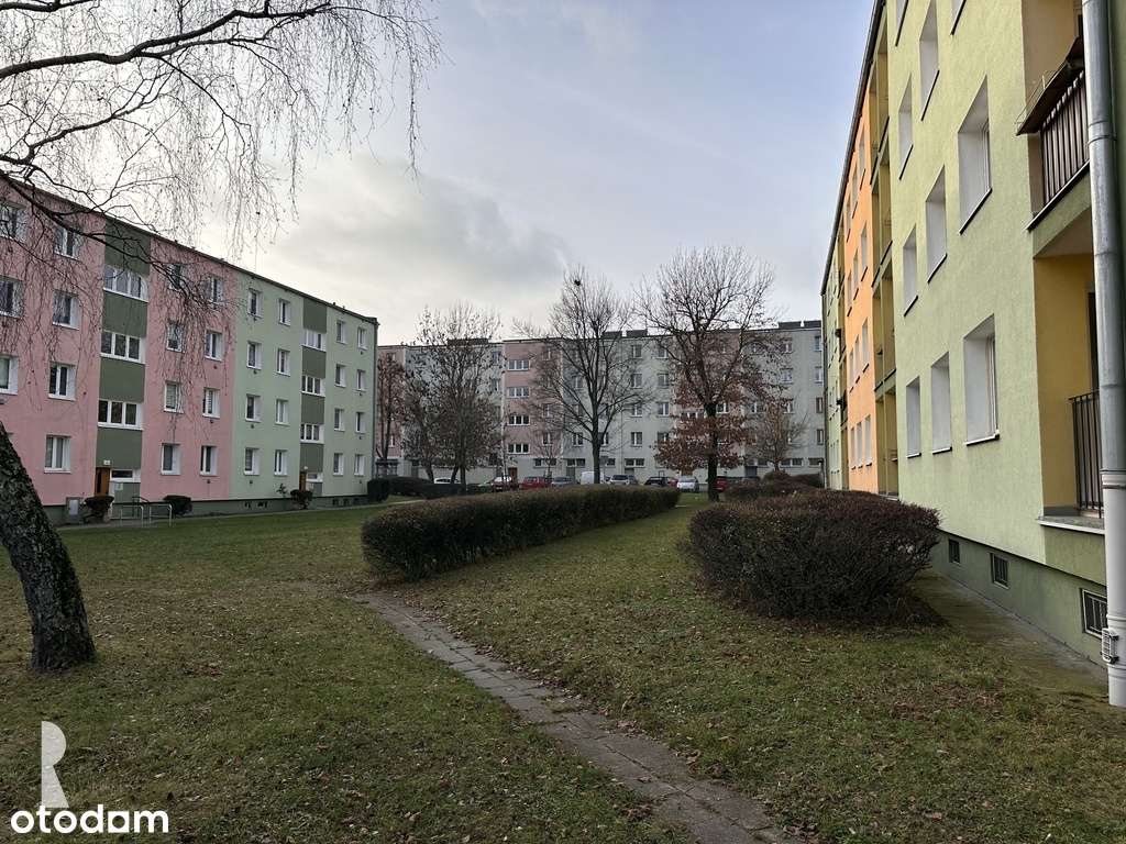 Mieszkanie z Potencjałem – Dębiec, 4 Pokoje-0