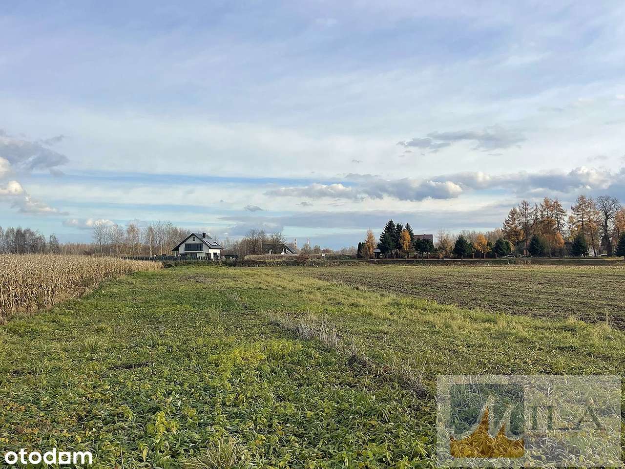 Dąbrowa Szlachecka działka budowlana 31 ar przy jeziorku-7