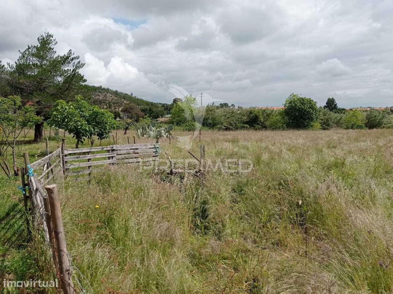 Quinta na Aldeia de São Luís - Odemira - Grande imagem: 5/32