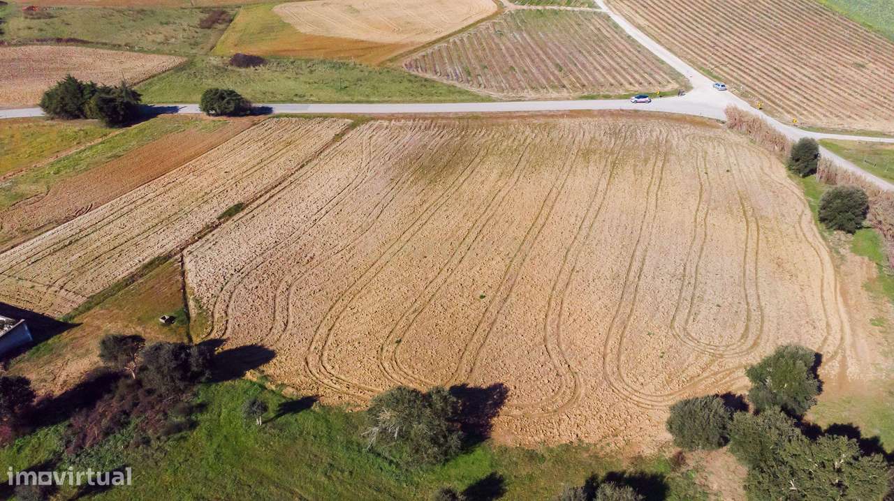 TERRENO COM 12.320M2 PARA CONSTRUÇÃO DE MORADIA - Grande imagem: 4/11