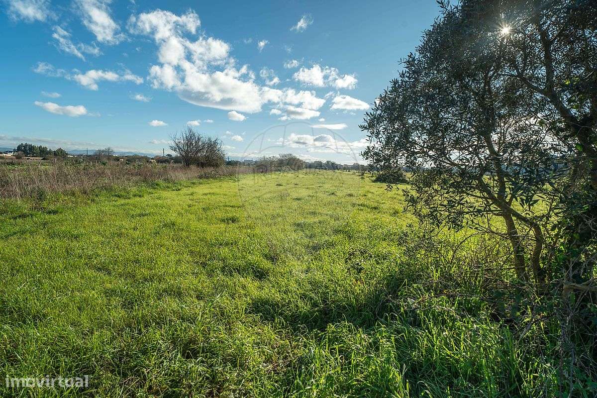 Terreno  para venda - Grande imagem: 4/16