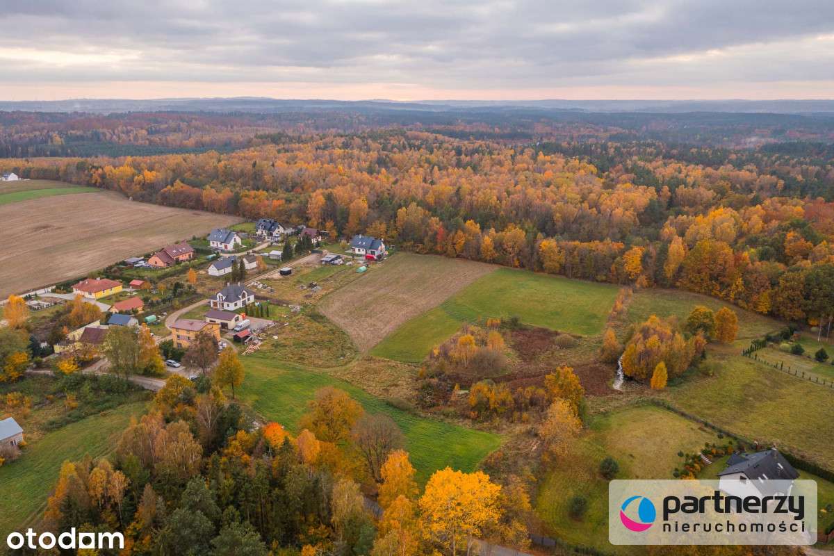 Prąd | Woda | Gaz | Asfaltowa Droga - Pełny obrazek: 5/14