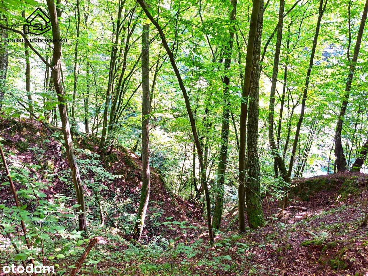 Kazimierz Dolny - działka przy wąwozie. - Pełny obrazek: 5/9