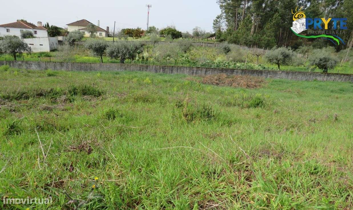 Lote para construção na entrada da Vila de Cernache do Bonjardim - Grande imagem: 4/4