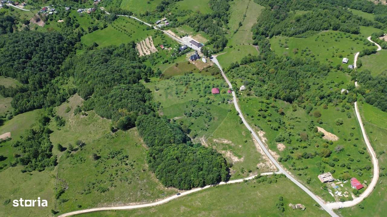 DE VÂNZARE – Teren intravilan Codru Butesii / Strada Principală - Imagine principală: 3/5