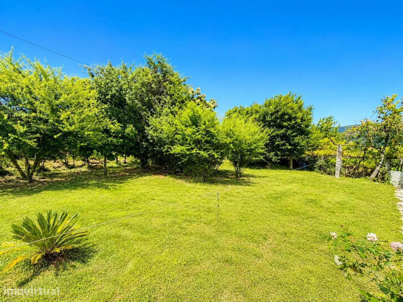 Quinta com Moradia T4 em Pedra, História e Natureza em Harmonia em Arc-33