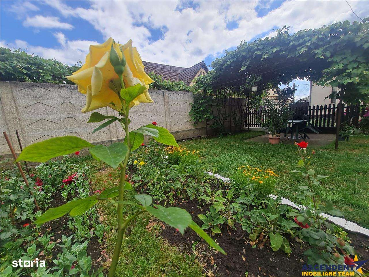 Poveste saseasca la umbra vitei de vie, cu crama si gradina cu flori, - Imagine principală: 1/20