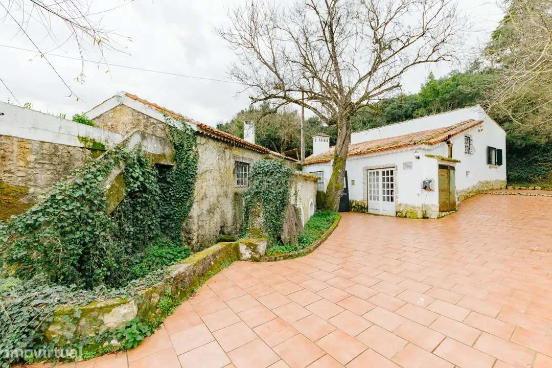 Moradia Rústica T3 em Almoster - Grande imagem: 5/36