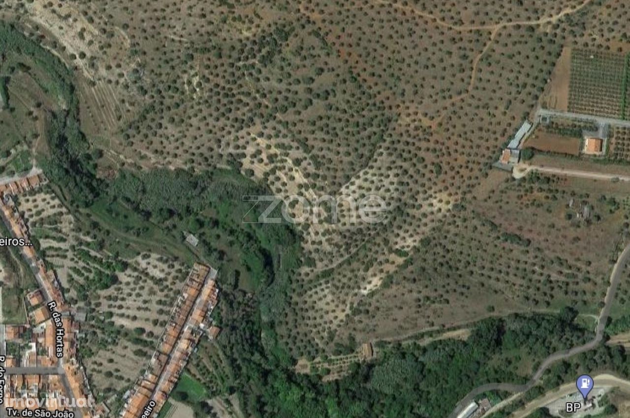 Terreno composto por Olival com 180 Oliveiras
