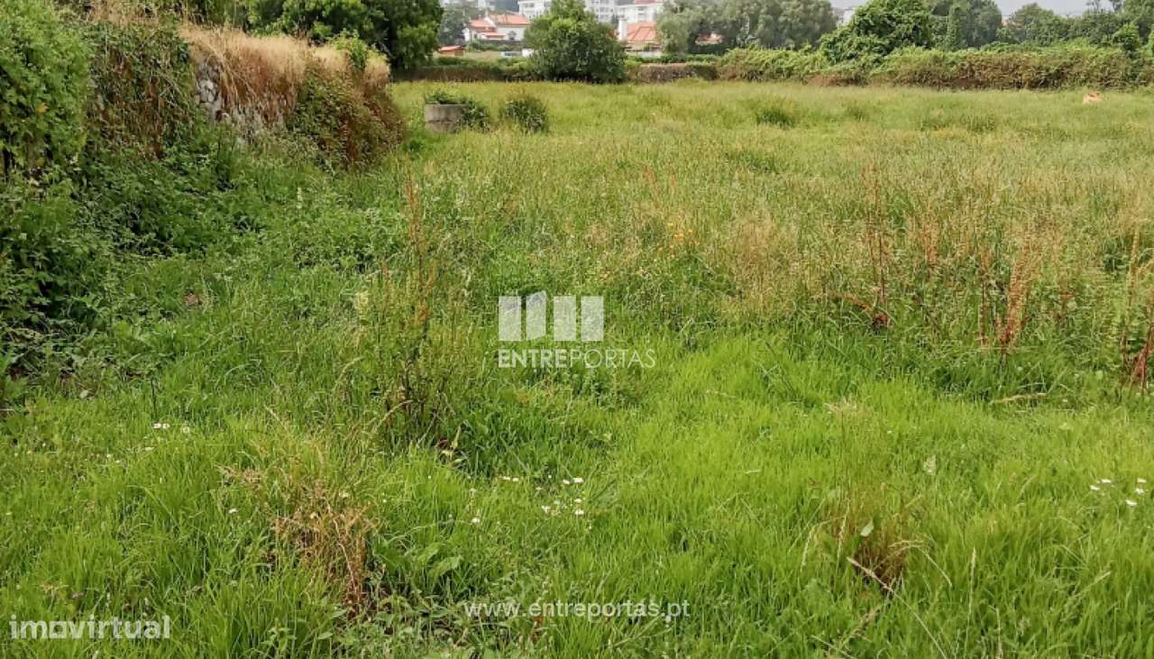 Venda de Terreno com 5250m², Darque, Viana do Castelo - Grande imagem: 5/8