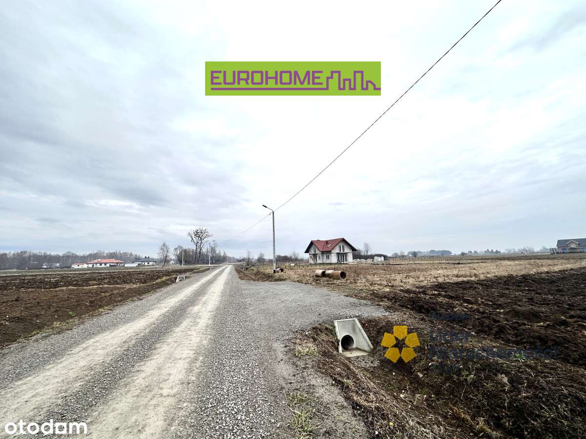 Działka z fundamentami | Borki Nizińskie | 74 ar | - Pełny obrazek: 2/8