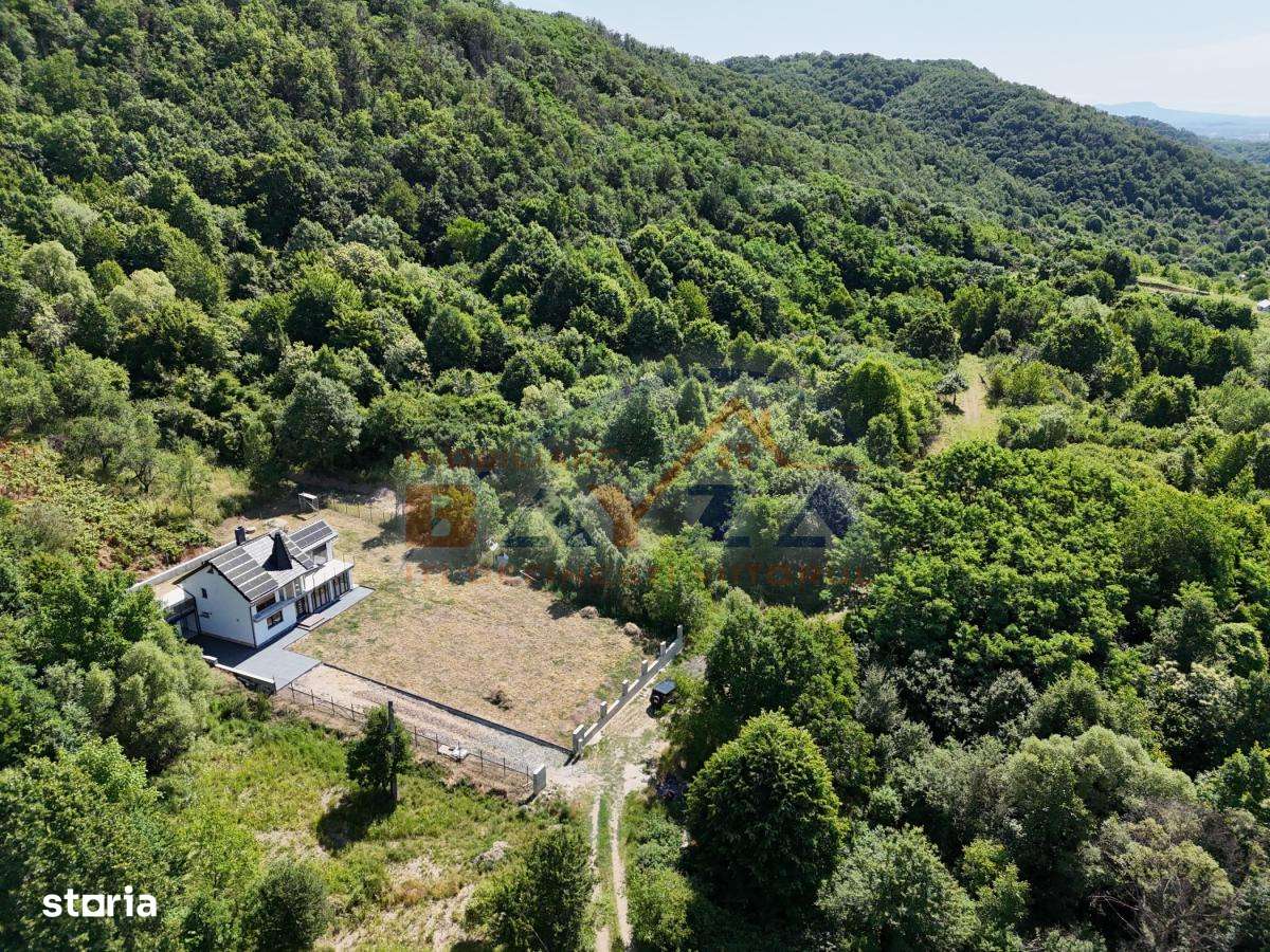 Casă P+1+M 215 mp utili, teren 5000 mp, Viile Cicârlăului lângă pădure - Imagine principală: 5/20