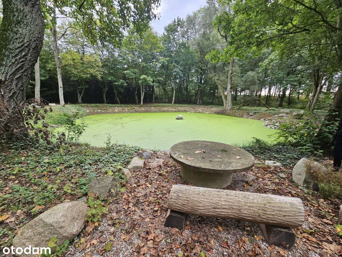 Działka wielofunkcyjna, Spa, Dom opieki, siedlisko-1