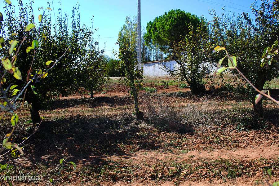 Terreno urbanizável, vista magnífica para Sul entre Óbidos e Bombarral-5