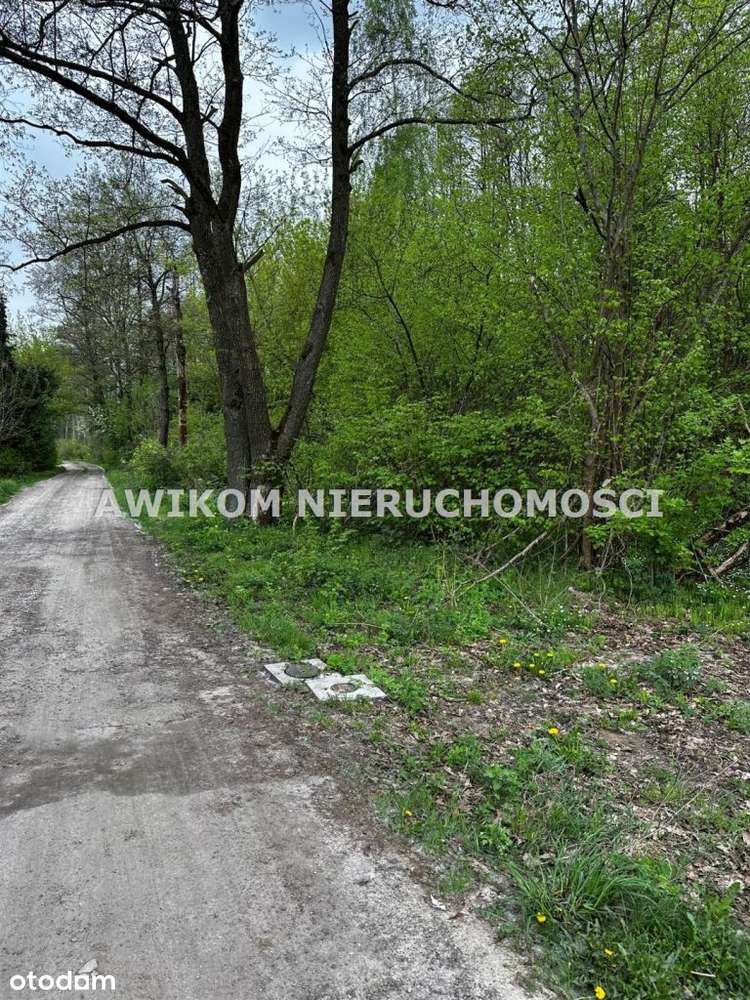 Działka, 10 200 m², Grodzisk Mazowiecki - Pełny obrazek: 4/7