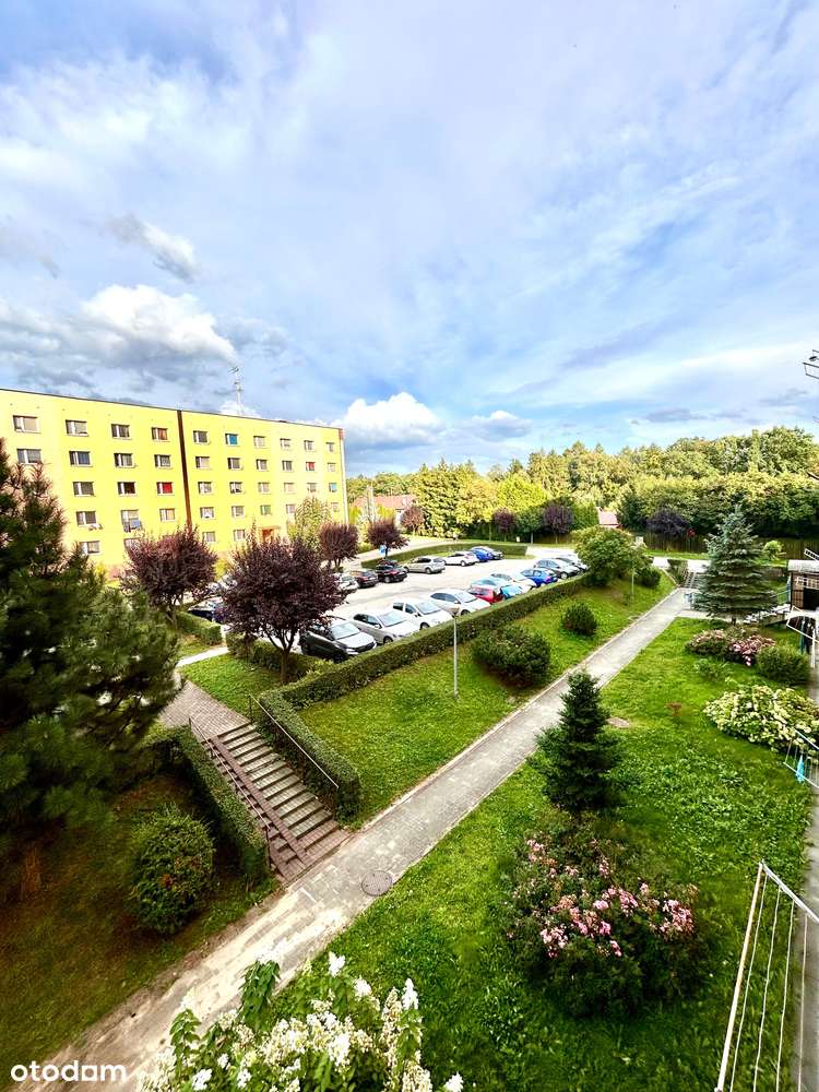 GOTOWIEC INWESTYCYJNY lub TWÓJ NOWY DOM|31m²|2. piętro|Kaczyce|169 000-0