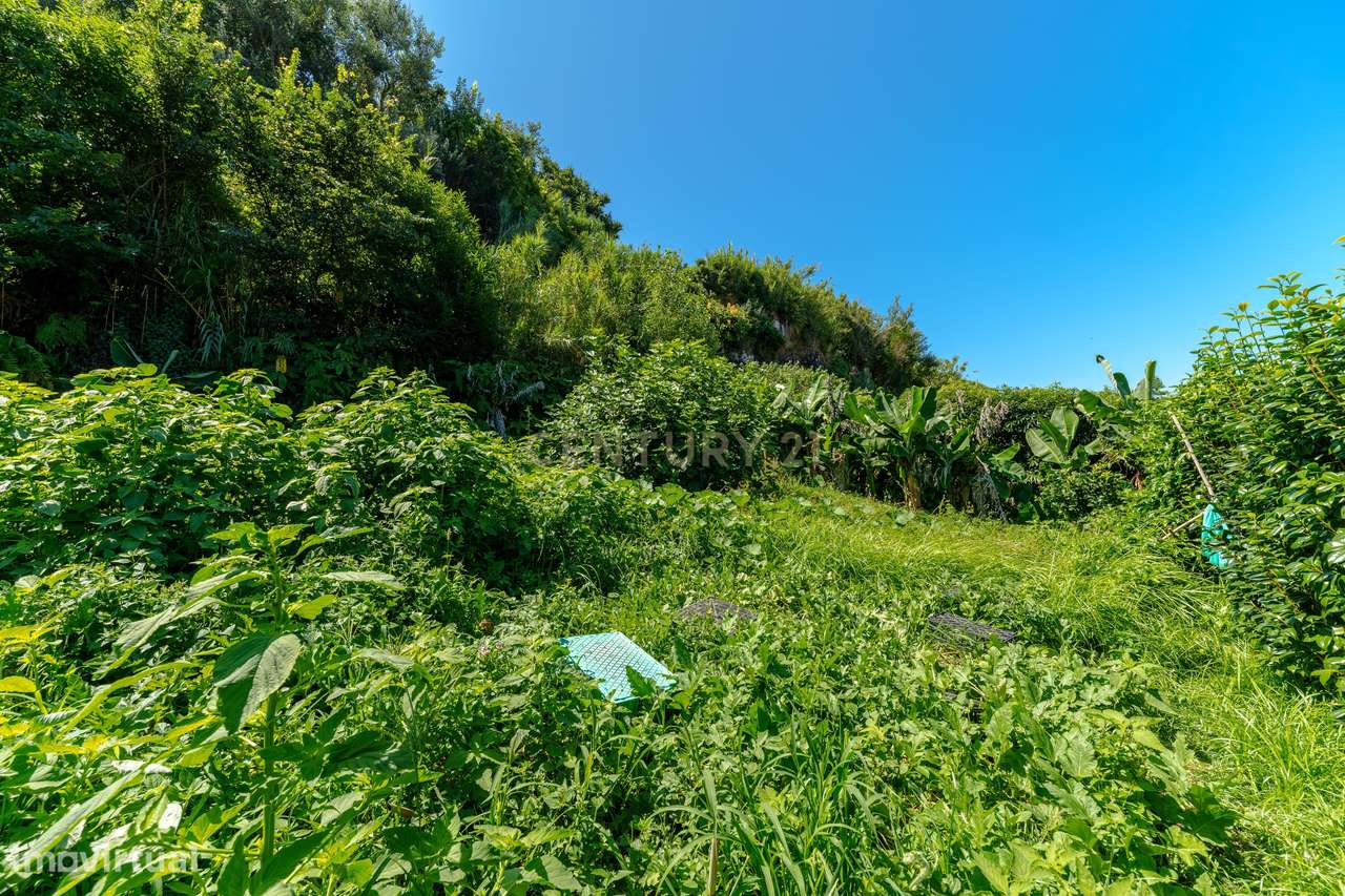 Moradia T4 com 2.971 m² de Terreno e Vista Panorâmica-56