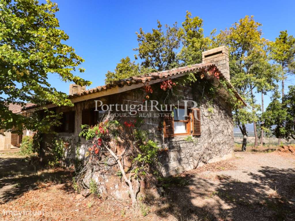 Quinta de 4 ha com 3 casas e cerejeiras no Fundão, ideal para turismo - Grande imagem: 4/60