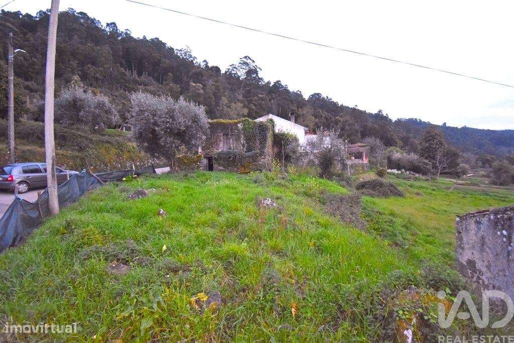 Casa tradicional T3 em Vila Nova de 120,00 m2 - Grande imagem: 4/10
