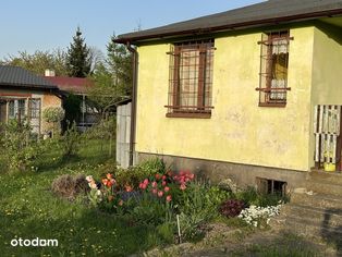 Działka w ROD Biała Róża Gliwice Kozielska