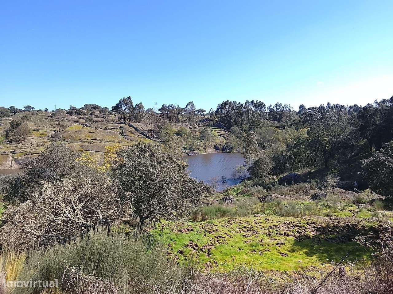 Oportunidade! Quinta em Nisa, 53ha - Grande imagem: 5/10