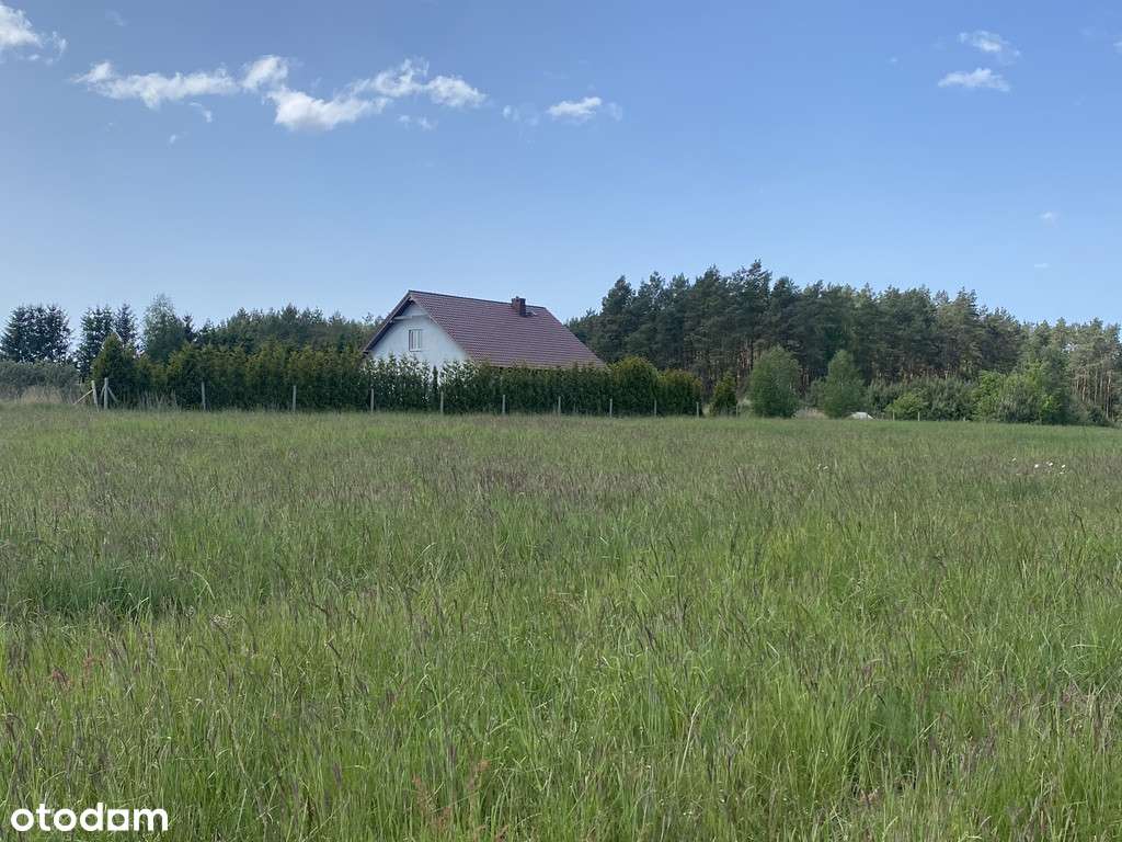 Działka na sprzedaż Przybiernów tuż przy lesie.-0