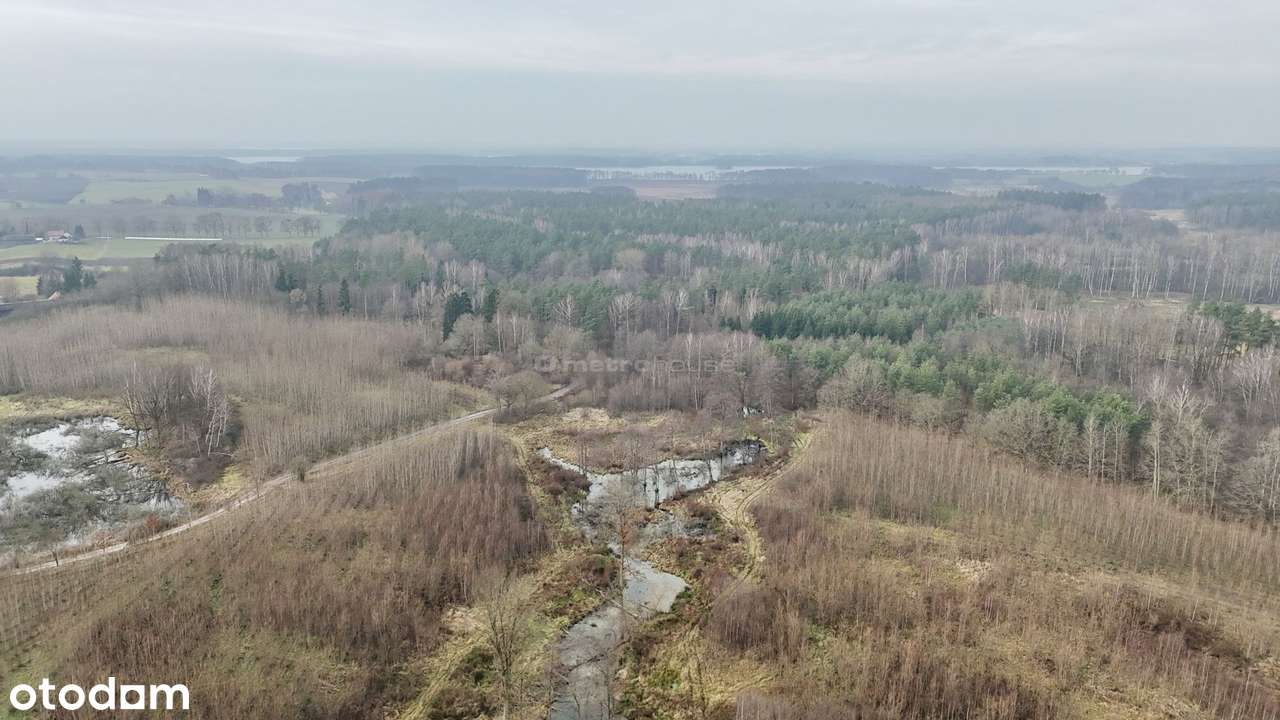Działka leśna w otoczeniu parku krajobrazowego - Pełny obrazek: 5/10
