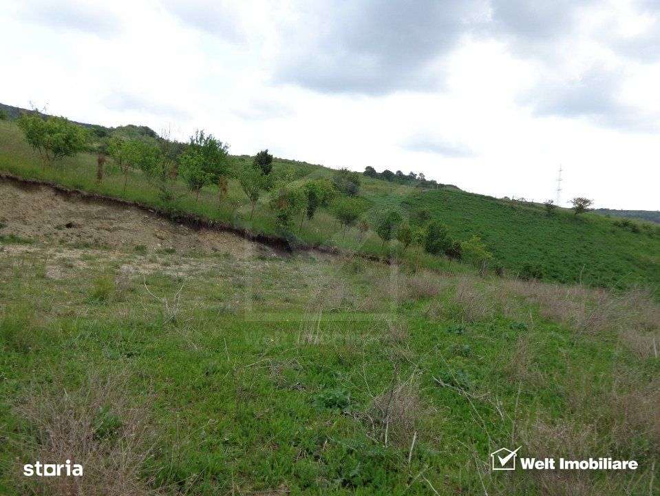 Parcela 1100 mp, pozitie buna cu panorama, Popesti, expunere sudica - Imagine principală: 4/5