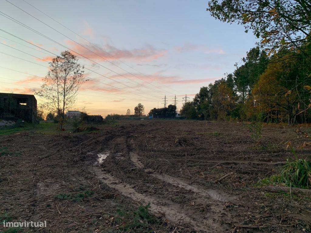 Quinta - Viseu - Grande imagem: 3/5