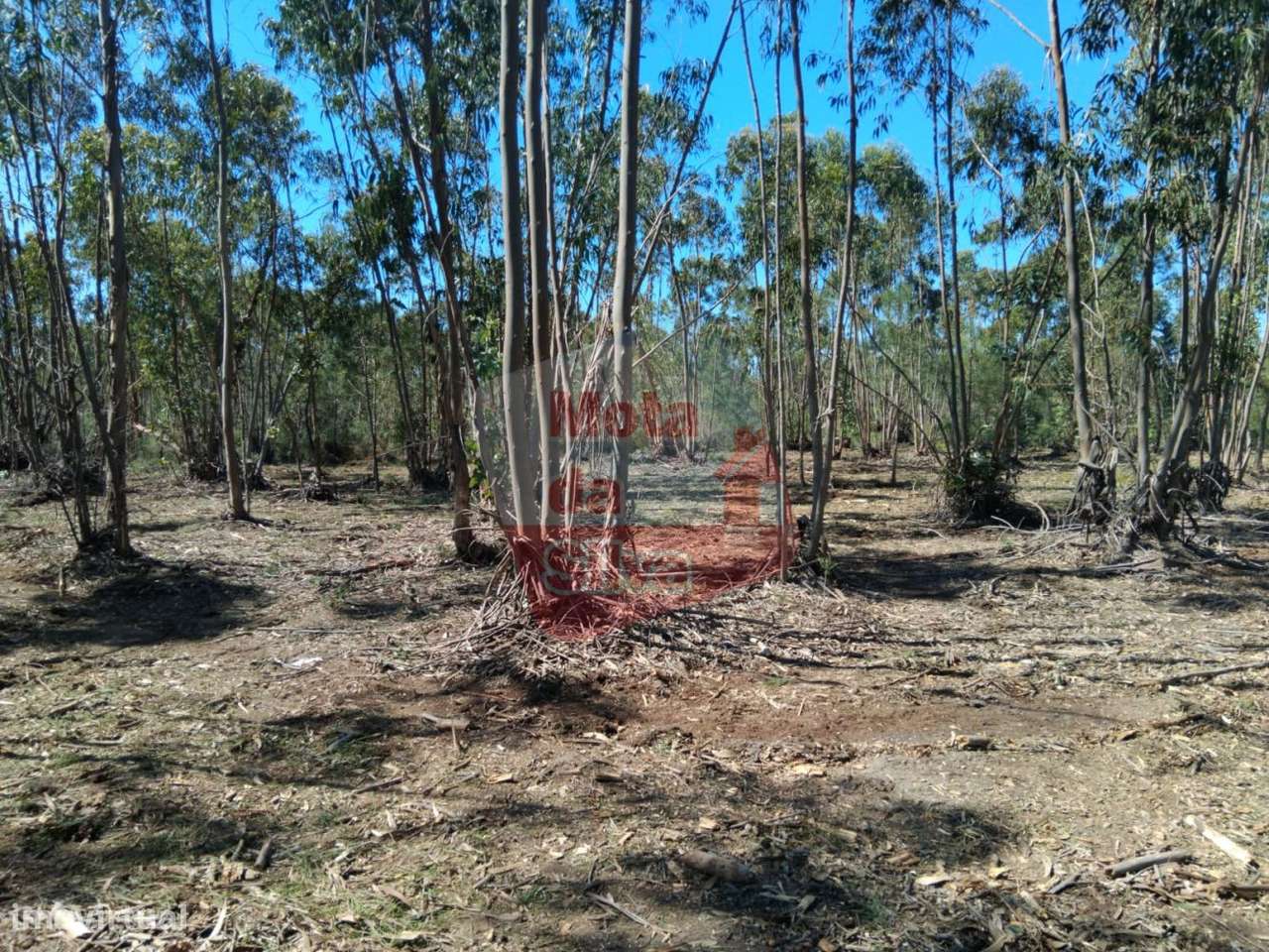 Excelente Terreno em Melides, Grândola - Grande imagem: 3/13