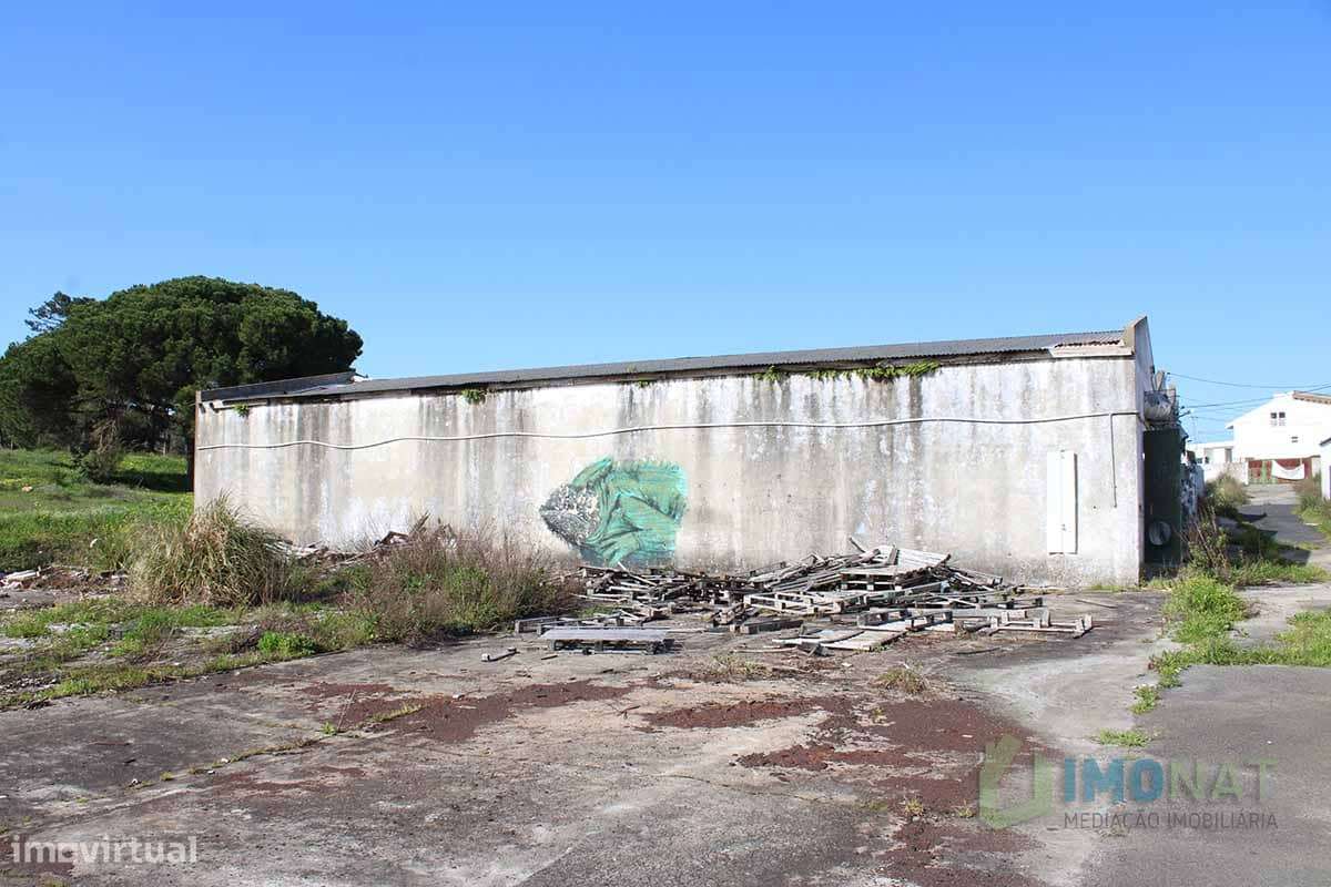 Lote de Terreno-19