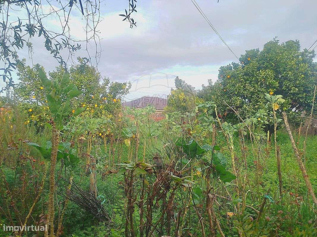 Moradia T3 para venda-22