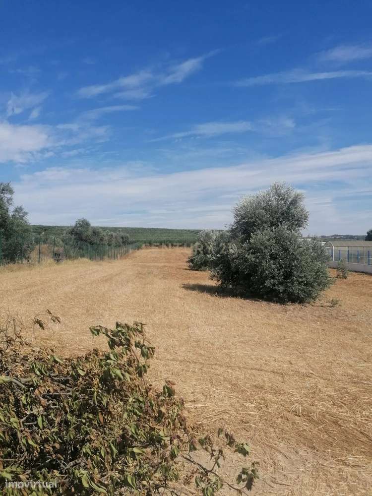 Magnifico Terreno , 3250 m2, que pode ser a sua "QUINTA" no Monte Barr - Grande imagem: 5/7