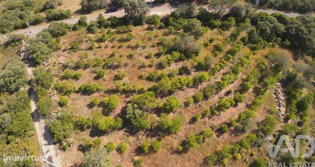 Terreno em Conceição e Estoi de 7320,00 m2 - Grande imagem: 5/7