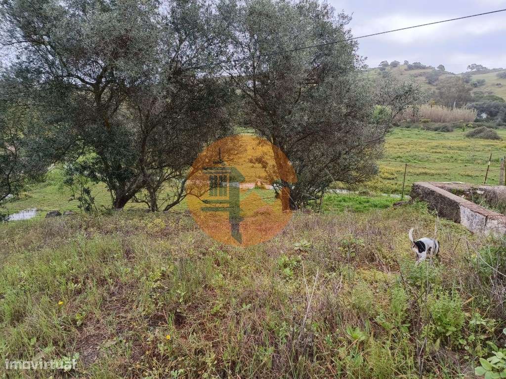 TERRENO COM RUINA - 4.960 M2 - COM NORA - ÁGUA DA BARRAGEM NA JUNQU...-39