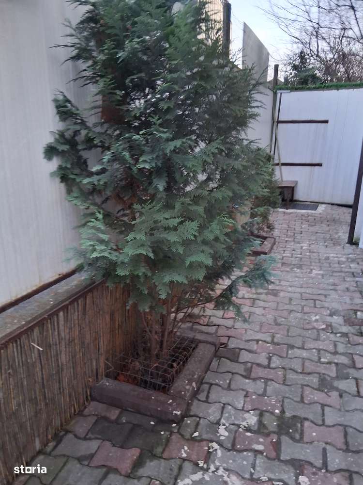 apartament cu 1 camera, zona buna-7