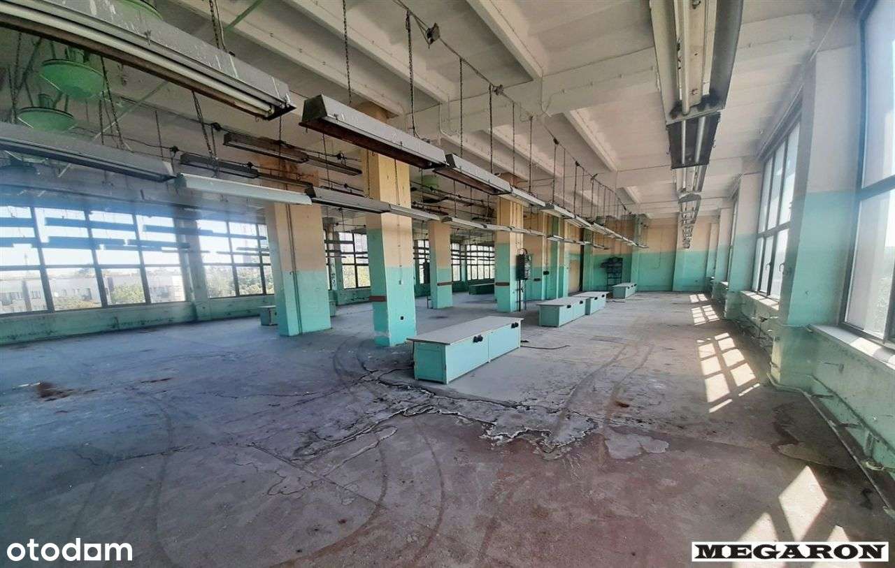 Hala/Magazyn, 400 m², Częstochowa - Pełny obrazek: 4/7