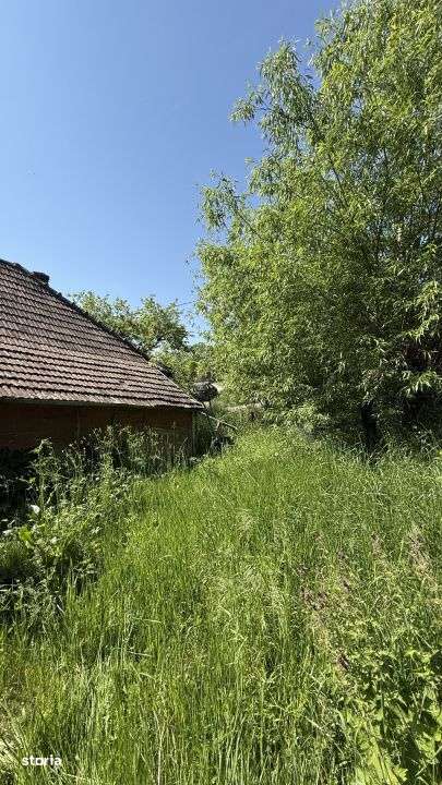 Teren cu parau si casa batraneasca, 25 min de Cluj, zona Boju/Cojocna-4