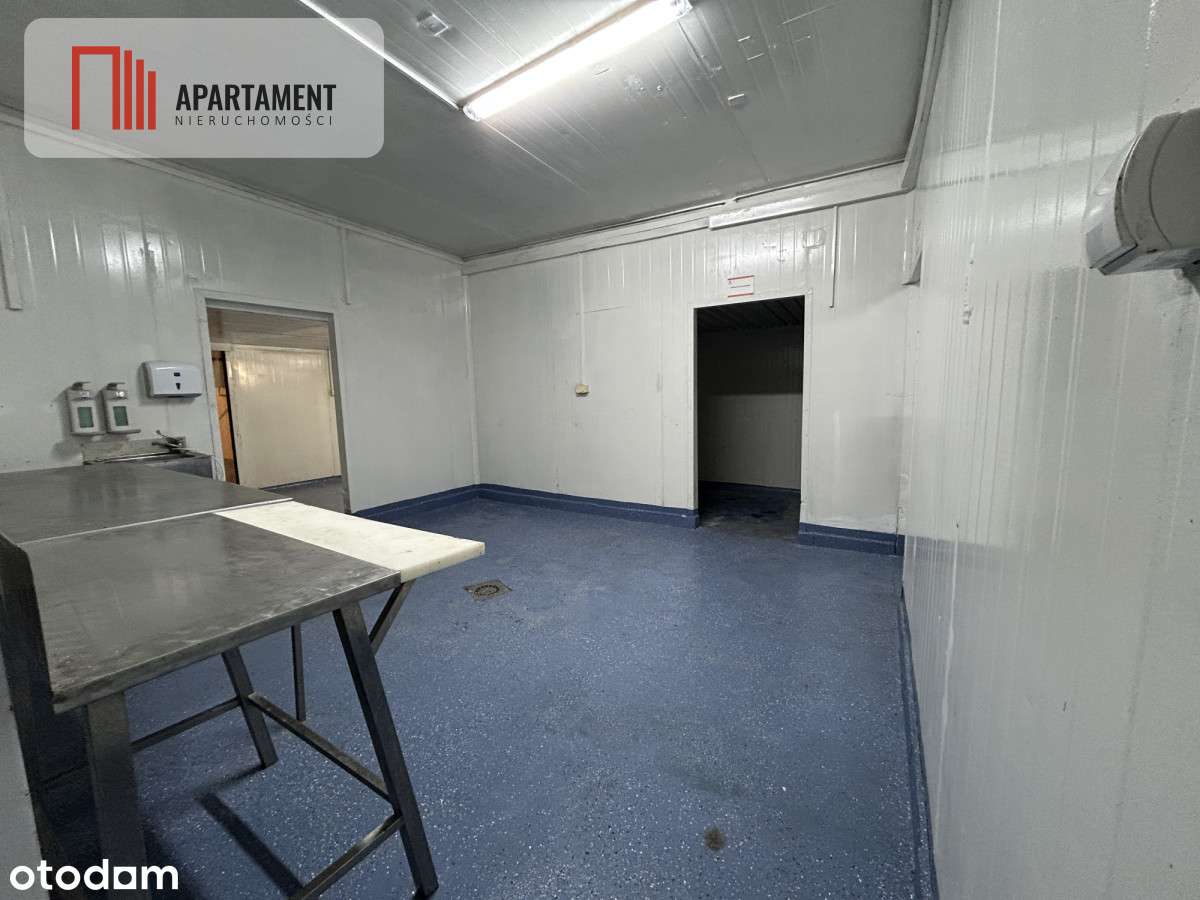 Hala pod produkcje/ Wynajem/ Brzoza - Pełny obrazek: 4/6