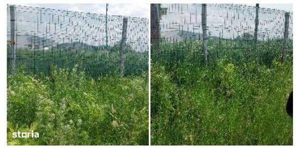 Teren intravilan arabil Sanpetru, Brasov - 3053969 - Imagine principală: 2/3