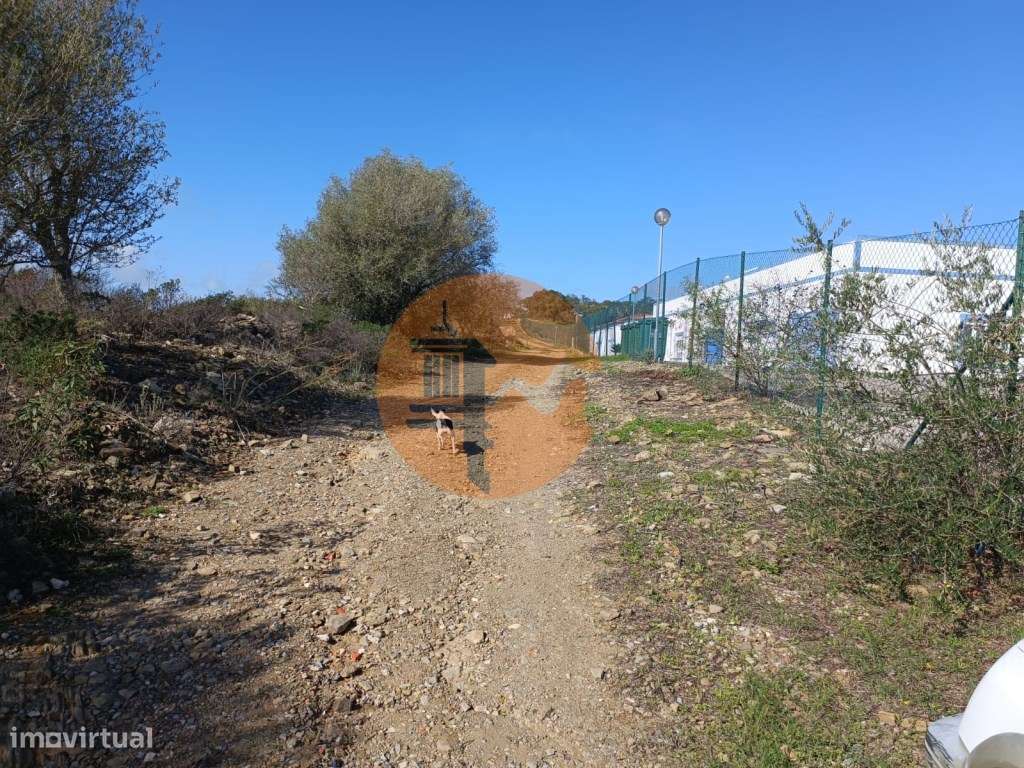 TERRENO COM 23.840 M2 - COM AGUA E LUZ - PLANO - BALURCOS - ALCOUTI... - Grande imagem: 4/17