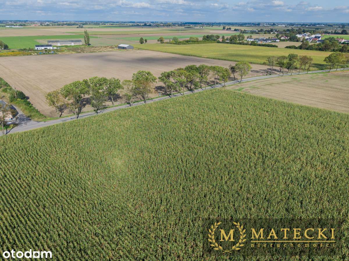 Działka AG  - 7 km od Poznania-10