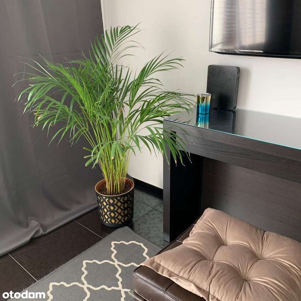 Komfortowe 3 pokoje 53 m² | świetna  komunikacja - Stegny, Mokotów - Pełny obrazek: 4/19