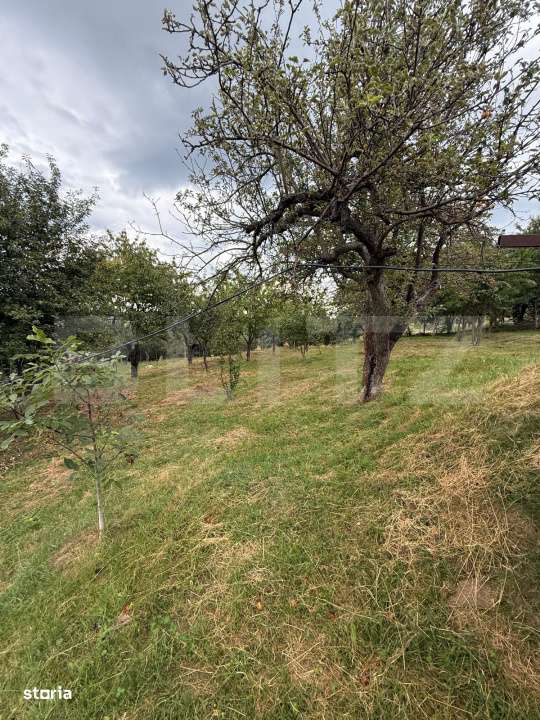 Casa etaj, 140 mp utili, 4800 mp teren, Adancata - Imagine principală: 5/16